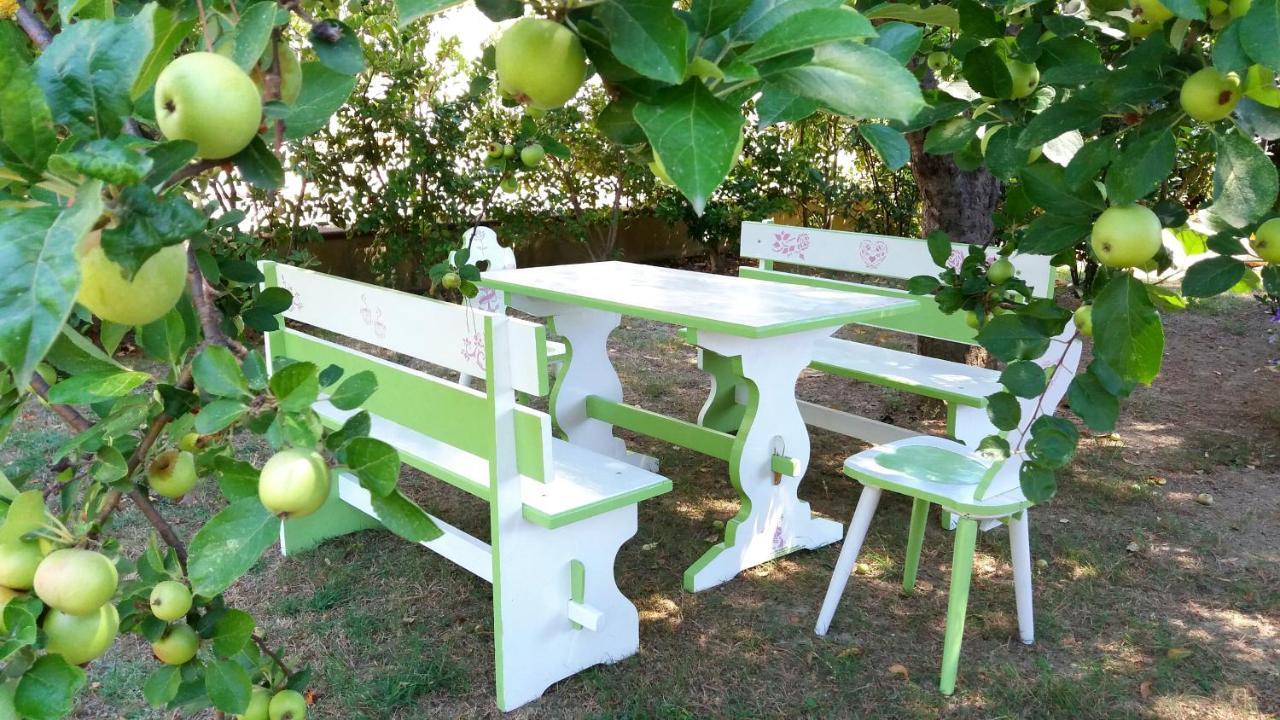 Villa Bruna Cesenatico Εξωτερικό φωτογραφία